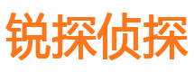 府谷市私人侦探